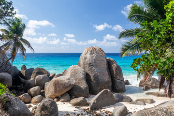 Tropical beach with palm trees