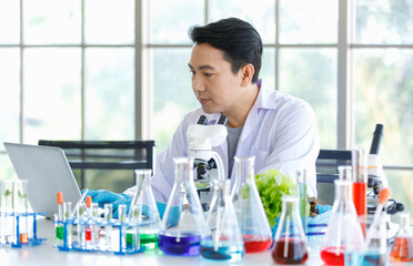 Asian professional cheerful male scientist researcher in white lab coat rubber gloves sitting smiling typing data in laptop notebook computer on table with vegetable samples in test tube and flasks