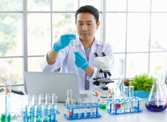 Asian professional male scientist researcher in white lab coat and rubber gloves sitting holding dropper dropping red reagent into sprout seedling vegetable sample in test tube on laboratory table