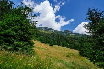 Fototapeta na wymiar Ohniste rock massif, Low Tatras mountains, Slovak republic. Hiking theme. Seasonal natural scene.