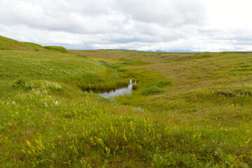 Landscape near Hella near the volcano Hekla