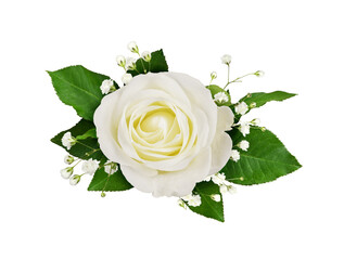 White rose and gypsophila flowers in a floral arrangement isolated on white or transparent...