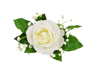 Tuinposter White rose and gypsophila flowers in a floral arrangement isolated on white or transparent background © Ortis