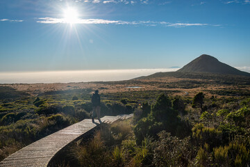 Backlit image of a backpacker hiking Pouakai circuit on boardwalk, Sun starburst shiniing on the...