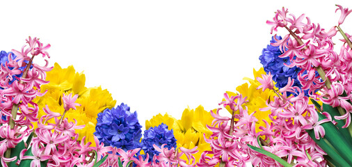 Naklejka premium wiosenne kwiaty na przezroczystym tle, png
