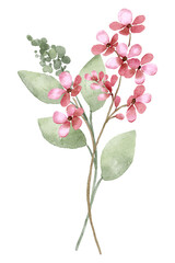 Naklejka na ściany i meble Floral bouquet, watercolor painting wild flowers. Digital illustration.