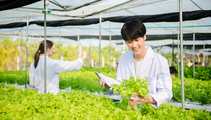 Biologist puts sprout in test tube for laboratory analyze. Two scientists stand in organic farm. check, laboratory