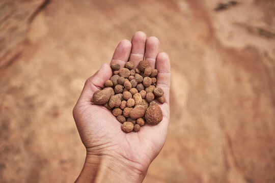 Cropped hand of man holding rocks