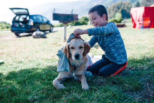 Boy playing with dog on grassy field