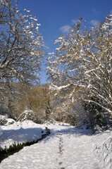 Path under the snow in Brittany