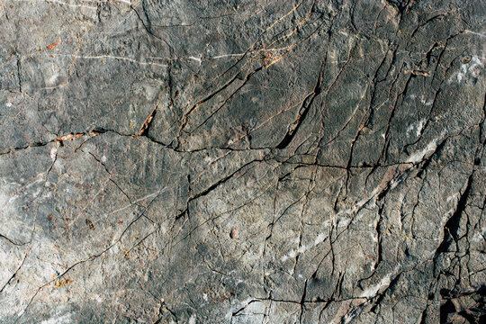 Rock or Stone  surface as  background texture