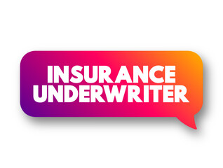 Insurance Underwriter - professional who evaluate and analyze the risks involved in insuring people and assets, text concept message bubble