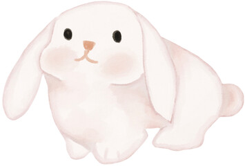 rabbit watercolor png