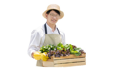 Owner of the hydroponics vegetable garden holds a basket of vegetables in the greenhouse. Beautiful...
