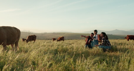 Cattle, cow and farmer with family on a farm bonding, relaxing and enjoying quality time on...