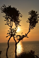 Fototapeta na wymiar Amazing sunset in corfu island,Greece