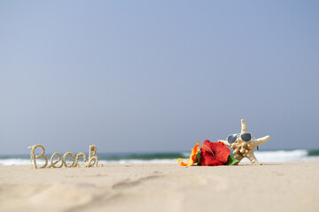 ビーチとハイビスカス