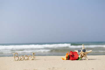 ビーチとハイビスカス