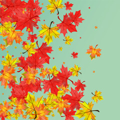 Fototapeta na wymiar Colorful Floral Background Green Vector. Foliage September Template. Autumnal Pattern Leaves. Realistic Plant Illustration.