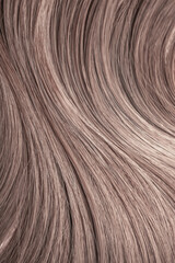 Blond hair close-up as a background. Women's long light brown hair. Beautifully styled wavy shiny curls. Hair coloring. Hairdressing procedures, extension.