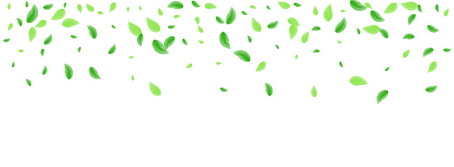 Greenish Vegetation Background White Vector. Leaves Falling Illustration. Template Texture. Green Space Design. Leaf Spring.