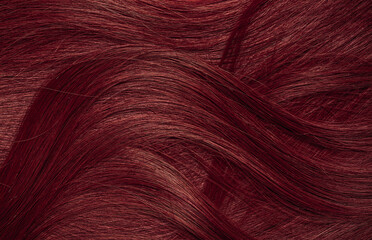 Dark red hair close-up as a background. Women's long brown hair. Beautifully styled wavy shiny curls. Coloring hair with bright shades. Hairdressing procedures, extension.