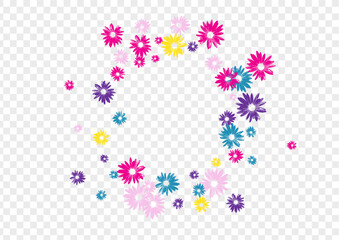 Purple Chamomile Background Transparent Vector. Floral Bloom Banner. Colorful Plant Draw. Amazing Illustration. Decoration Color Flower.