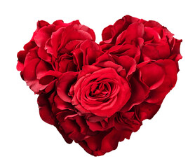 Heart from rose flowers. Isolated on transparent background