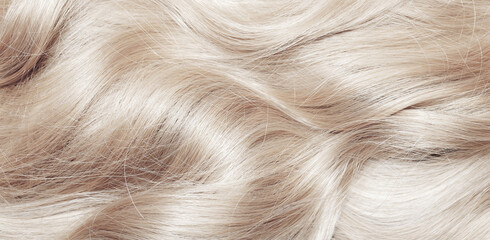 Blond hair close-up as a background. Women's long blonde hair. Beautifully styled wavy shiny curls....