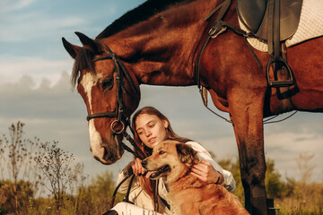 A young beautiful woman jockey with her dog sits in a meadow near her horse at sunset.