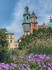 city castle in the spring