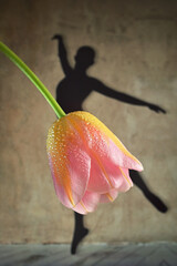 Shadow Ballerina Dancing Wearing Skirt from Tulip Flower © Laurentiu Iordache