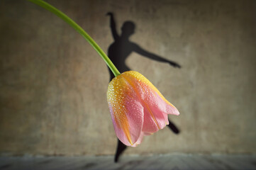 Shadow Ballerina Dancing Wearing Skirt from Tulip Flower © Laurentiu Iordache