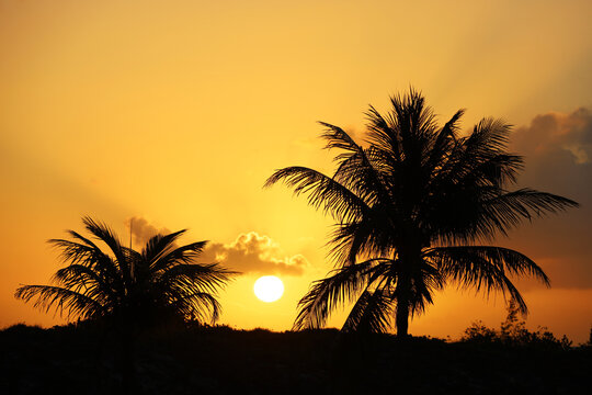 View to the rising sun through coconut palm trees silhouettes on tropical beach, background for vacation and travel