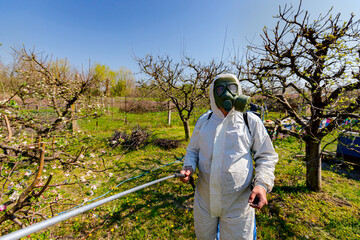Fototapeta premium Gardener wears protective overall and gas mask, sprays fruit blossom trees with long sprayer in the orchard