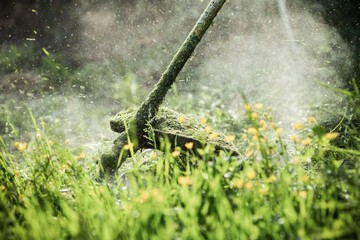 mowing the grass with a lawn mower, garden work concept background