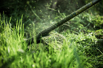 mowing the grass with a lawn mower, garden work concept background