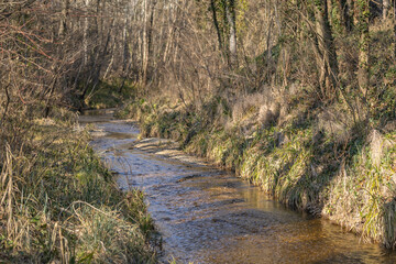 petit cours d'eau dans le sud de la France