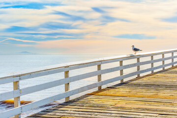 Tranquil Malibu Pier at Sunrise with Seagull perched on Railing