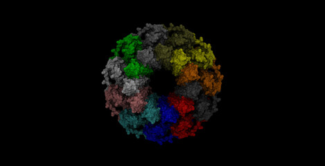 Human RAD52 DNA repair protein 3D molecule 4K (23 degrees view)