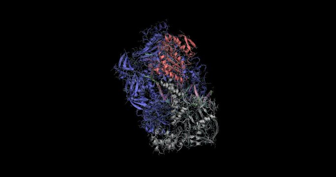 
Monkeypox virus (MPXV) DNA polymerase, 3D molecule spinning, 4K 

