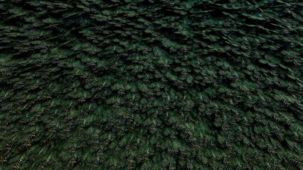simple texture on the wall