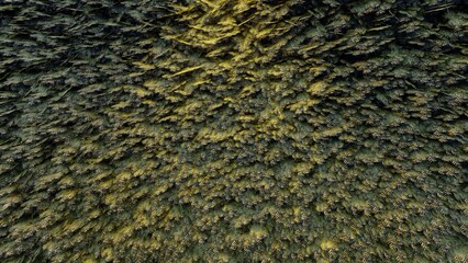simple texture on the wall