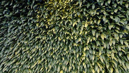 simple texture on the wall