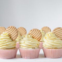 Pink cupcakes with tall american buttercream swirl and cookie garnish, cupcakes in pink liners with a tall vanilla buttercream and a cookie, birthday cupcakes on a white background