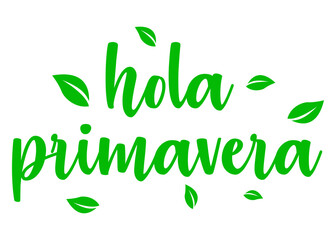Logo aislado con letras del mensaje hola primavera en texto manuscrito en español con silueta de hojas de árbol en color verde - obrazy, fototapety, plakaty