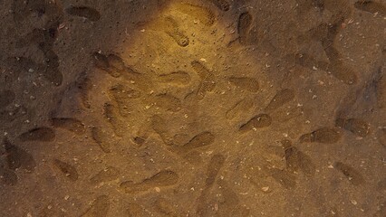 simple texture on the wall