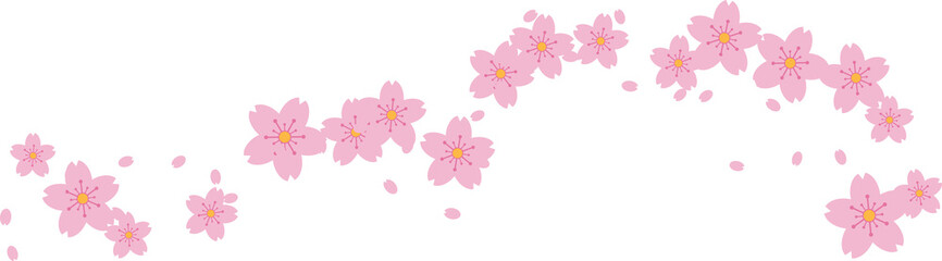 Beautiful pink Sakura Cherry Blossom illustration.