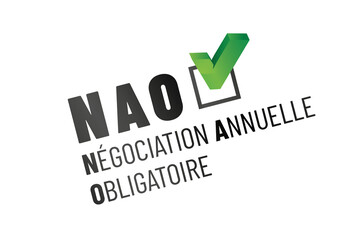 NAO - négociation annuelle obligatoire en france