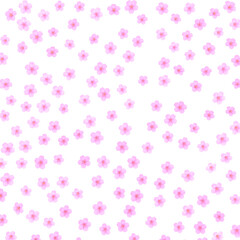pink cherry flowers on transparent background